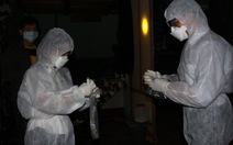 Ninh Thuận công bố dịch cúm gia cầm trên đàn chim yến