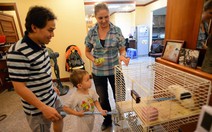 Người nước ngoài khó mua nhà tại Việt Nam