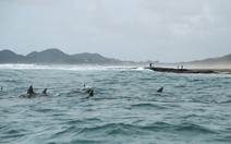 Lạc vào khu bảo tồn vịnh Rocktail