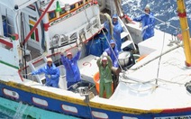 Nhật Bản bắt giữ tàu cá Đài Loan