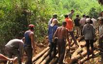 Hàng ngàn người tràn vào rừng đầu nguồn chặt phá, giành đất