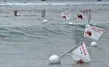 Úc dùng thiết bị điện tử xua đuổi cá mập tại cuộc thi lướt ván