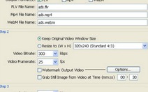 Chuyển đổi video sang định dạng FLV, WebM
