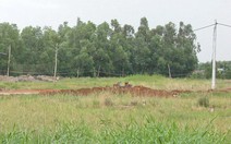 Bán đấu giá 1.054 nền đất quận 2 để xây hạ tầng