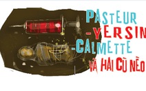 Paster - Yersin - Calmetttee và hai Cù nèo