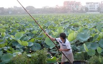 Hệ số điều chỉnh giá đất 0,5 - 3 lần