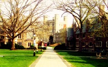 ĐH Harvard mất vị trí đại học tốt nhất nước Mỹ