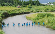 Nhật lại tìm người mất tích vì động đất, sóng thần năm 2011