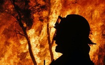 New South Wales ban bố khẩn cấp cháy rừng