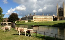 Thăm Trường Đại học Cambridge