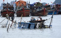 Quảng Ninh: ngư dân trắng tay vì bão Haiyan