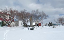 Ngắm tuyết rơi ở Hokkaido