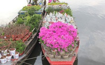 Chợ hoa Bình Điền tổ chức theo mô hình trên bến dưới thuyền