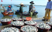 Khánh Hòa hạn chế khai thác hải sản ven bờ