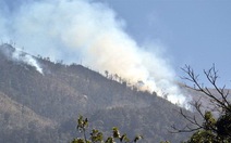 Lại cháy lớn ở Vườn quốc gia Hoàng Liên