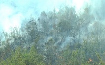 Dập tắt cháy rừng Vườn quốc gia Hoàng Liên