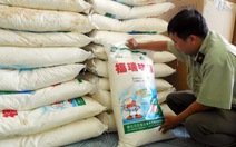 Tạm giữ bột ngọt Trung Quốc không có hạn sử dụng