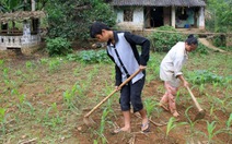 Đào tẩu khỏi bãi vàng