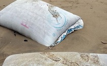 Thanh Hóa: Gần 100 bao chứa chất "lạ" dạt vào bờ biển