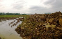 Bình Định: Nguy cơ ngập úng lúa do công trình thi công Quốc lộ 19 mới