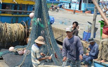Đà Nẵng lập quỹ hỗ trợ ngư dân