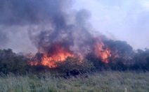 Cháy rừng trồng tại Thừa Thiên Huế, thiệt hại hàng tỷ đồng