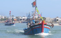 Ngư dân Quảng Ngãi vẫn can trường bám biển