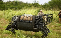 Google trình làng robot chó cỡ bự