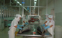 Cá ngừ đóng hộp Việt Nam khó cạnh tranh tại Tây Ban Nha
