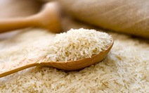 Giá gạo Việt Nam tăng cao kỷ lục