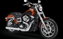 Harley triệu hồi 3.361 môtô FXDL Dyna Low Ride