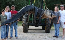 ​Mỹ: bắt cá sấu khổng lồ nặng 458 kg
