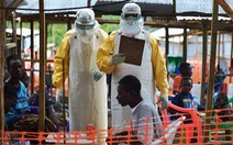 Nguy cơ thiếu lương thực tại các nước bị dịch Ebola