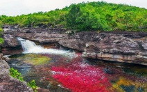 ​Caño Cristales - dòng sông nhiều màu sắc