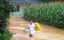 Mưa lớn gây ngập nặng nhiều nơi ở Bình Phước