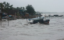 Quảng Ninh vẫn đang mưa to gió lớn, cây đổ la liệt