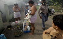 1 triệu người Nam Mỹ nhiễm Chikungunya đau nhức dữ dội