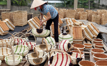 ​Làng Lưu Thượng giữ gìn nghề đan guột truyền thống