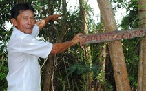 Sai phạm đất rừng U Minh Hạ: ​Chưa xử lý vì lãnh đạo... bận
