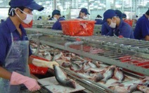 Áp chống bán phá giá cá da trơn VN là không công bằng