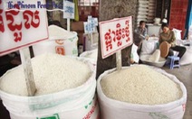 ​Danh hiệu gạo ngon nhất thế giới thuộc về Thái Lan và Campuchia