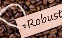 ​Cà phê Robusta thế giới sốt giá