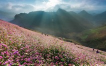 ​Vòng chung khảo cuộc thi ảnh “Tận hưởng bản sắc Việt” tháng 11-2014