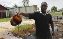 ​Shell bồi thường 83,5 triệu USD cho sự cố tràn dầu tại Nigeria