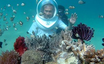 ​“Đi bộ du lịch” dưới đáy biển Nha Trang