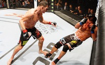MMA - võ đài hung bạo - ​Kỳ 3: Lê Cung giã từ sàn đấu