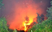 7ha rừng TP.HCM bị cháy rụi trong đêm