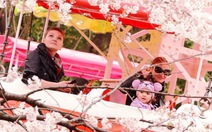 Nhật Bản bắt đầu nhộn nhịp đón mùa hoa anh đào 