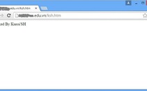​89 website Việt Nam bị tấn công