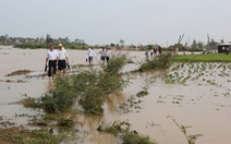 Lũ bất ngờ giữa mùa hạn ở miền Trung gây thiệt hại nặng